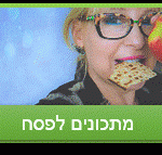 מתכונים כשרים לפסח הצד הטעים של החג