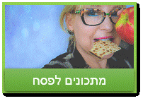 מתכונים כשרים לפסח הצד הטעים של החג